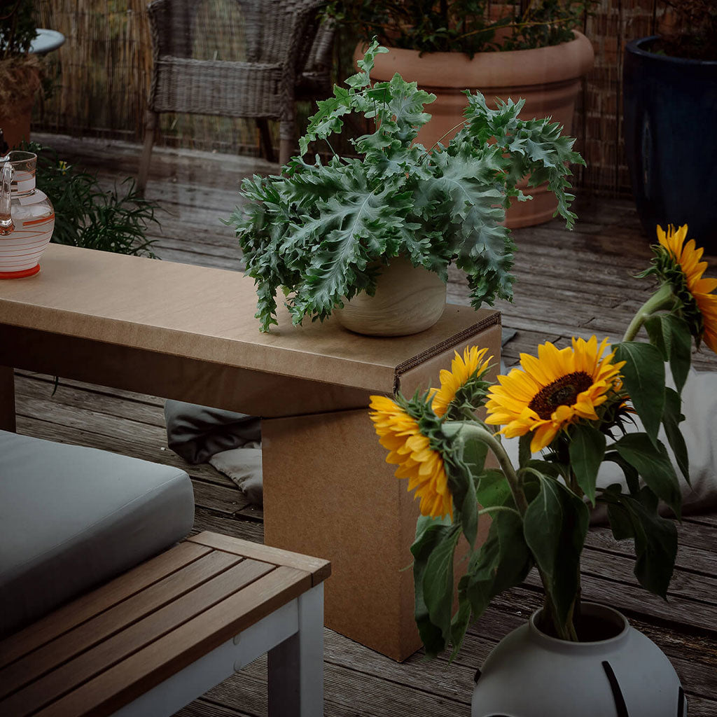 ROOM IN A BOX bench used as coffee table