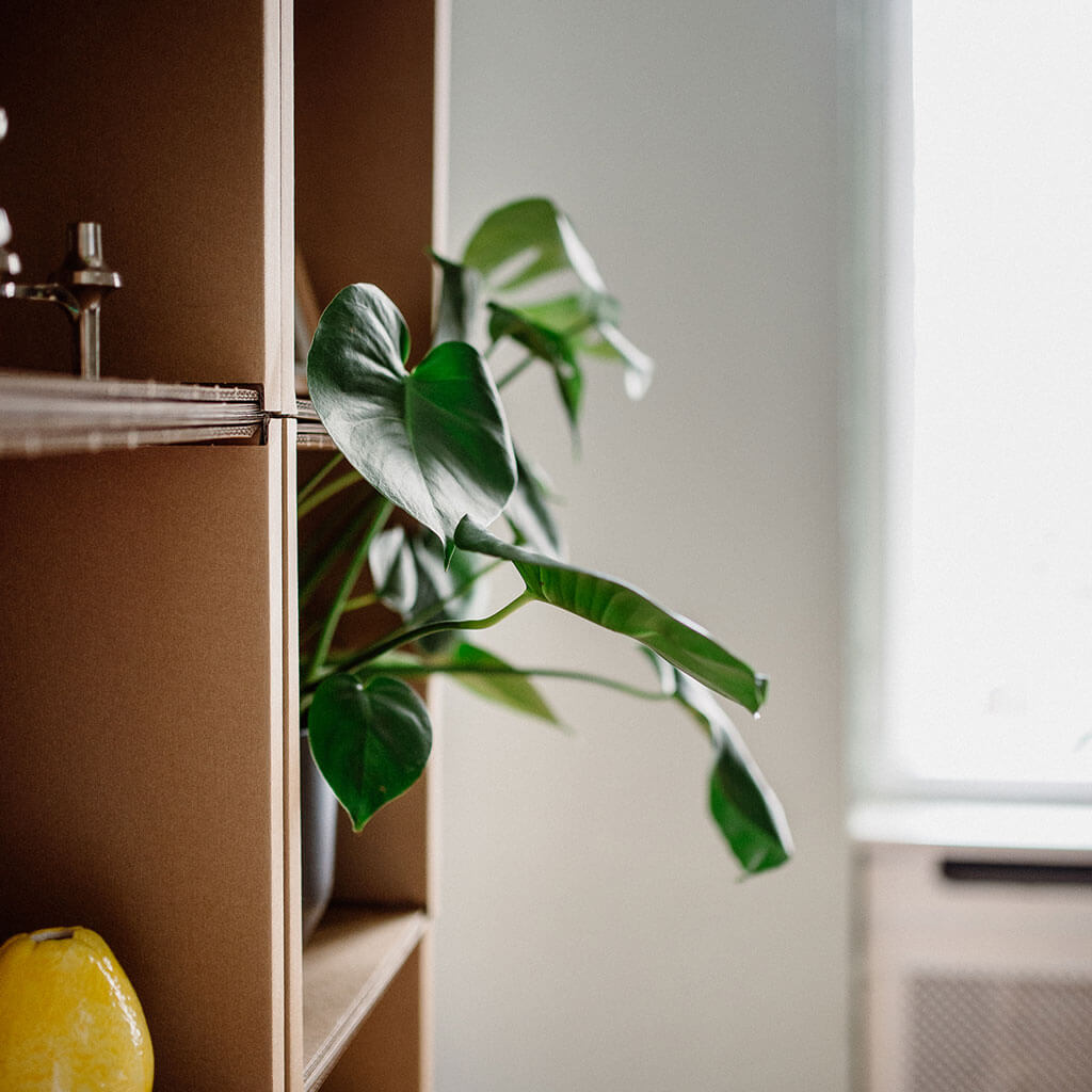 ROOM IN A BOX modular shelving system side view
